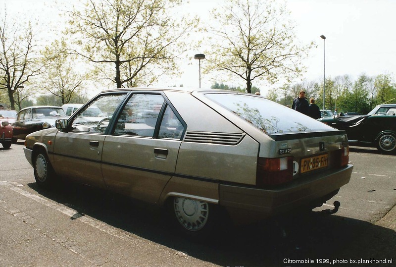BX 14 RE Beige Sphinx