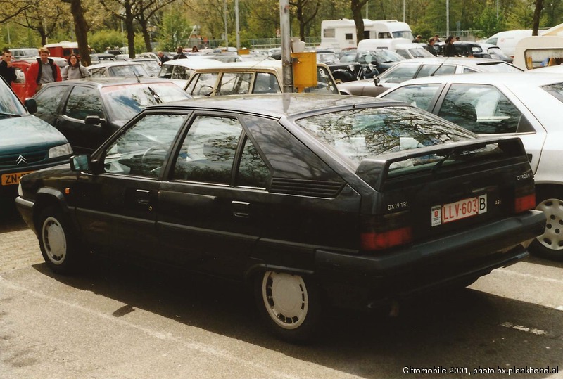 BX 19 TRI
