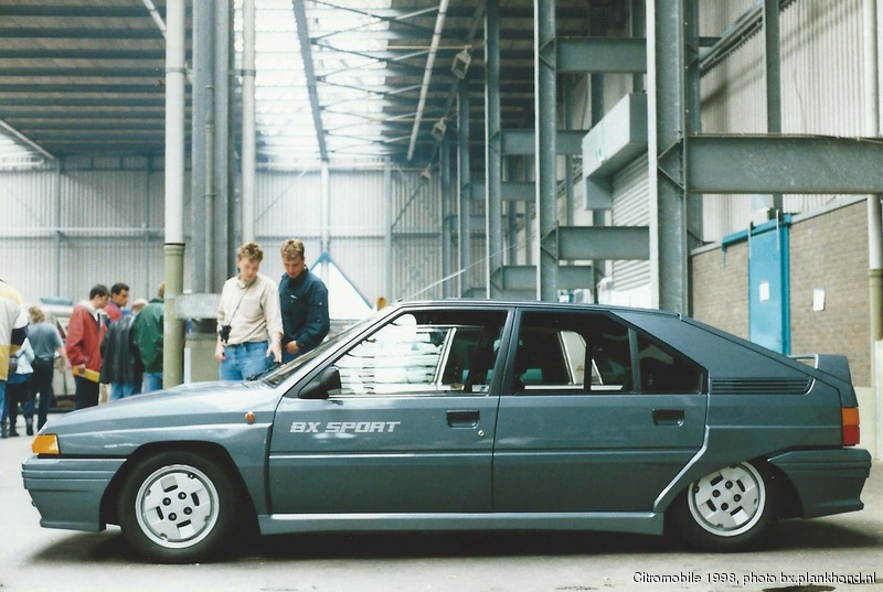 BX Sport Gris Renard