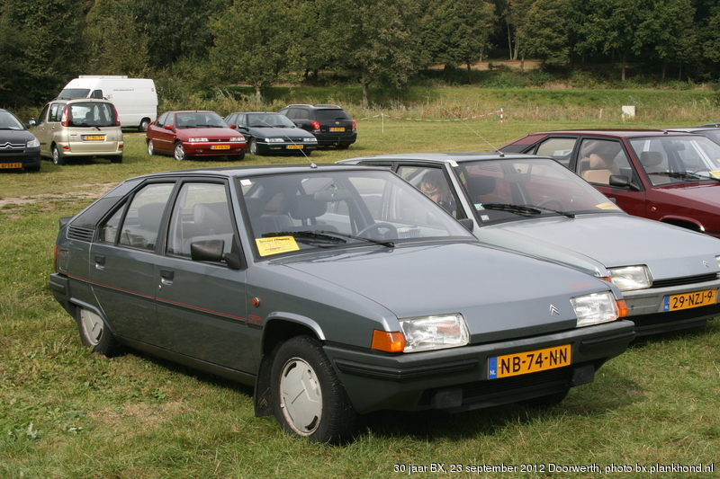 BX 19 GT, Gris Renard