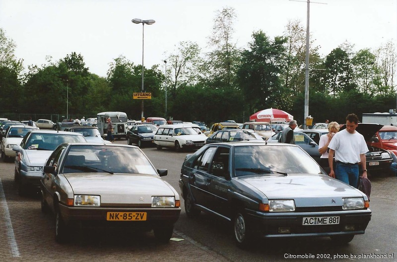 BX 16 TRS 1985 Beige Sphinx en BX Sport Gris Renard