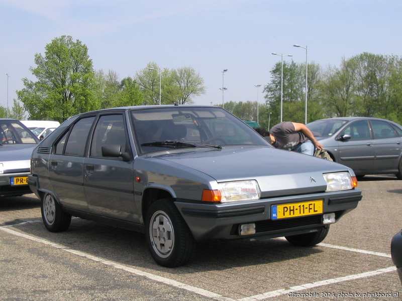 BX 19 Digit, Gris Renard