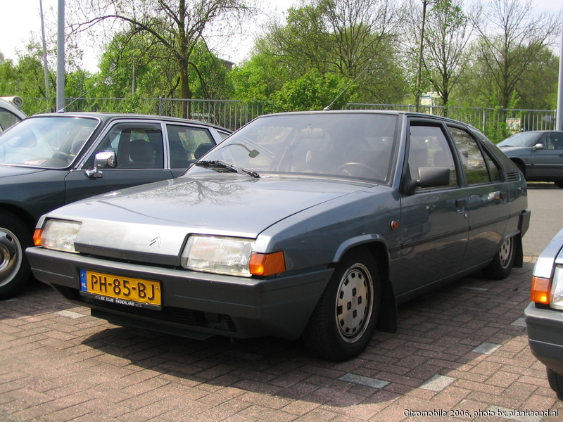 BX 19 Digit, Gris Renard