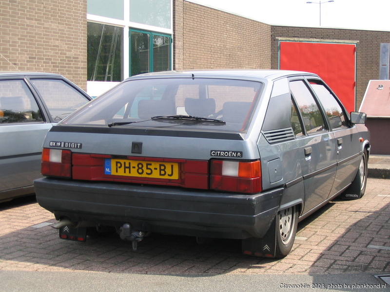 BX 19 Digit, Gris Renard