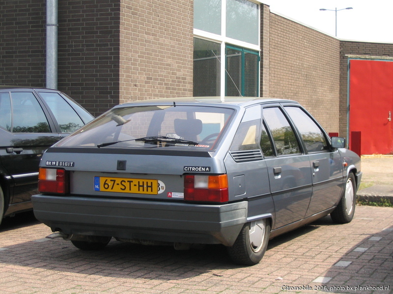 BX 19 Digit, Gris Renard