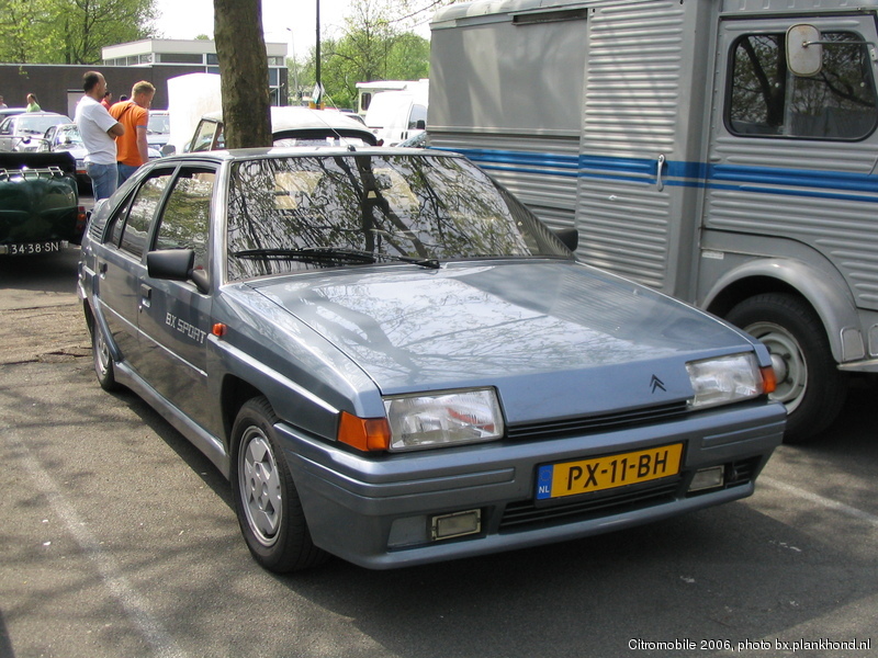 BX Sport, Gris Renard