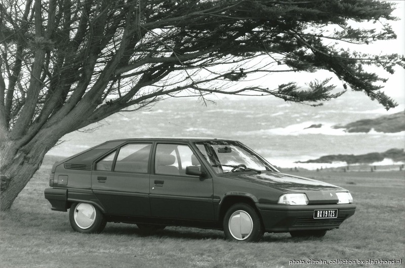 BX 19 TZI
