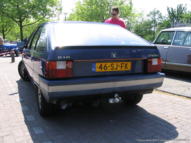 BX 16 RS, Blue Iris